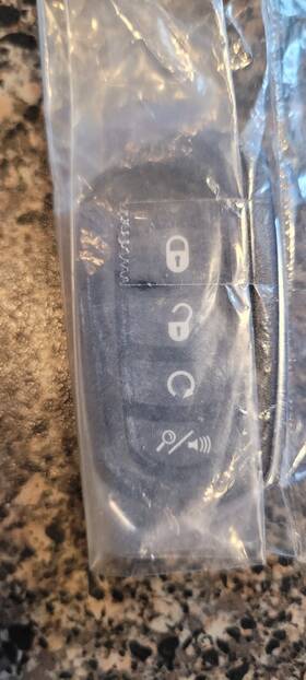 Code Alarm 096204002063 New Original Cat4m Replacement Remote Control