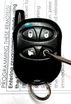 Nordic Autostart Hdr EZSNAH2503 1513A-NAH2503 Remote Fob Alarm Car Starter. Fixed Price $34.48.