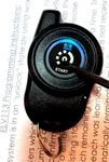 Keyless Remote Fob RS-250-DP ELV113 Excalibur Car Starter Omega #113 Control. Fixed Price $31.49.