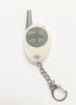 Compustar (artic Start) Keyless Remote Entry Fob Alarm Transmitter 1WFM4R. Fixed Price $49.00.